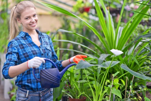 Professional assessing garden site in Shoreditch