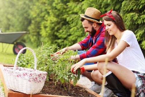 Lawn mowing service in Shoreditch residential area