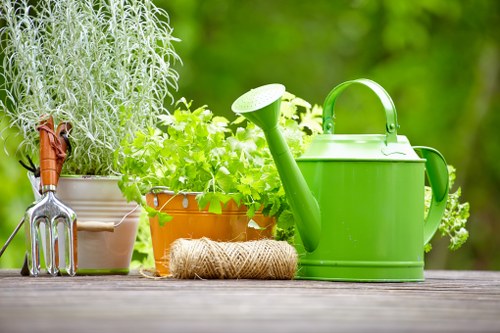Eco-friendly lawn care practices in Shoreditch