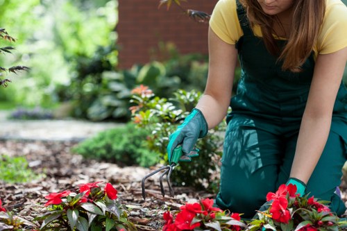 Maintained Shoreditch garden with lush greenery and stylish features