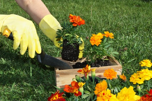 Seasonal lawn care services enhancing garden beauty