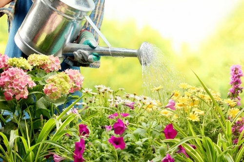 Healthy green Shoreditch lawn perfect for outdoor activities