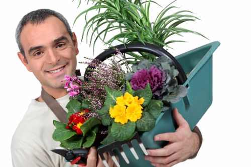 Experts performing garden debris removal