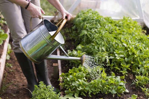 Essential gardening tools for maintenance